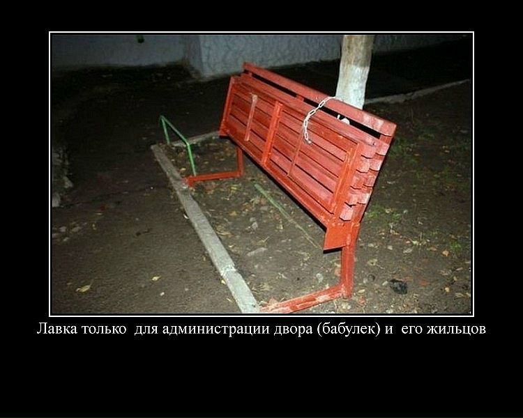 Дмитрий Евгеньевич фото №17
