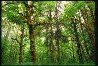 Лідуся Сушко фотография #20 (источник - https://vk.com/id82759482)