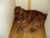 Андрій Сороковський фотография #26 (источник - https://vk.com/id35145374)