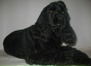 Доллі Наливайко фотография #11 (источник - https://vk.com/id82840394)