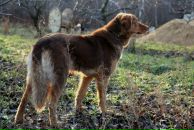 Эрика Быстрова фотография #23 (источник - https://vk.com/id111663)