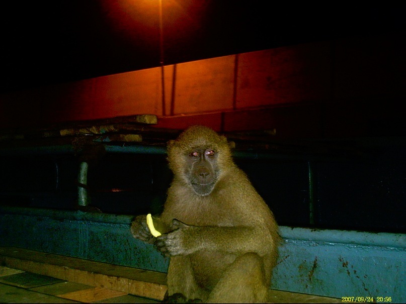 Евгений Шелухин фотография #27