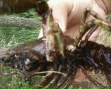 Вован Хемій фотография #20 (источник - https://vk.com/id127788465)