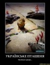 Андрій Бабій фотография #43 (источник - https://vk.com/id41813544)