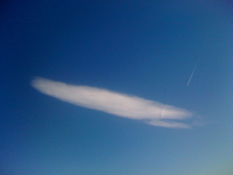 Лана Холмс фотография #38