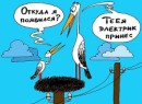 Толік Зеленюк фотография #46 (источник - https://vk.com/id65727105)
