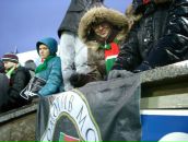 Фотография Strekalova Lyudmila