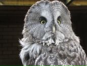 Фотография Соколовой Анастасии