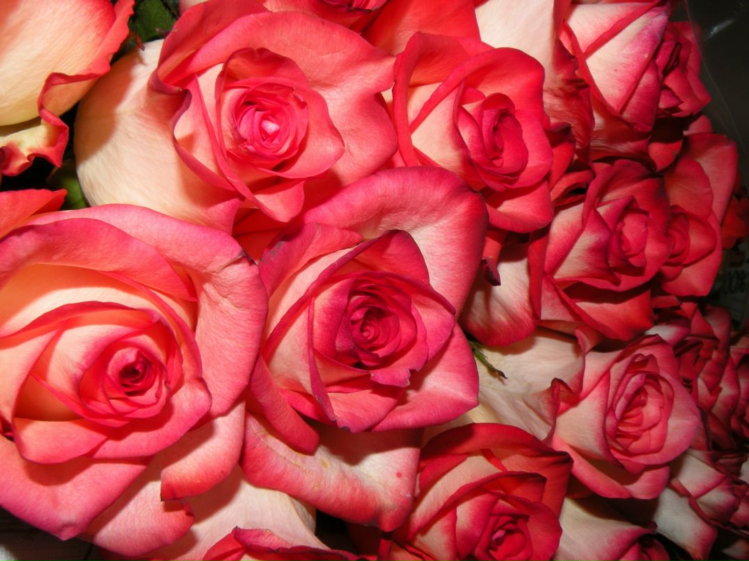 Софья Борисова фотография #49