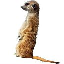 Фотография Kristininka Kristinka