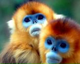 Фотография Лепсверидзе Меги