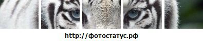Юлія Луценко фотография #1