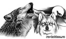 Славік Клебанюк фотография #36 (источник - https://vk.com/id124033096)