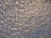 Фотография Кулькова Алексея