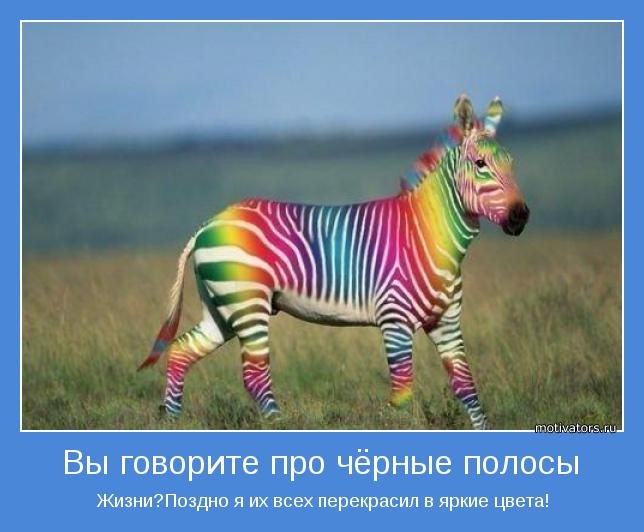 Sev Danil фотография #50