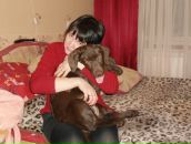 Фотография Хомченко Вячеслав