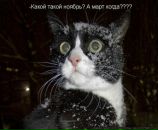 Фотография Радостевой Милы