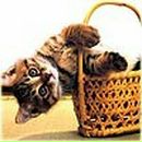 Фотография Беловой Ирины