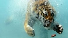 Фотография Егоровой Евгении