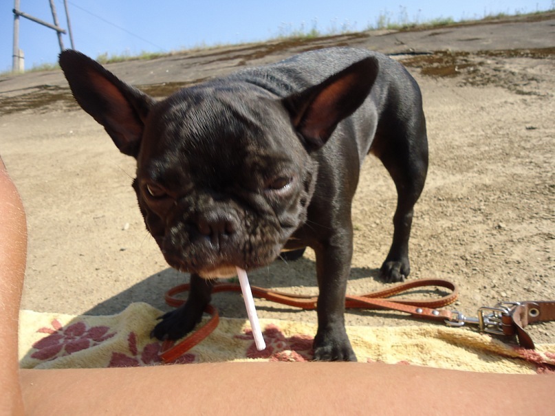 Максим Доля фотография #47