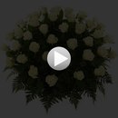 Ірина Наливайко фотография #16 (источник - https://vk.com/id163252173)