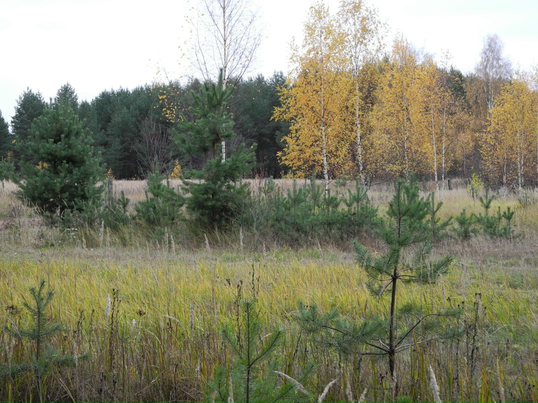 Илья Маслов фотография #30