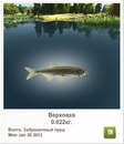 Іван Горняков фотография #6 (источник - https://vk.com/id152794618)