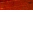 Віка Федоронько фотография #38 (источник - https://vk.com/id133797394)