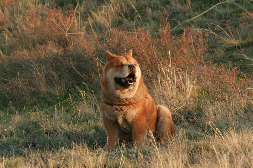 Orlov Ivan фотография #43