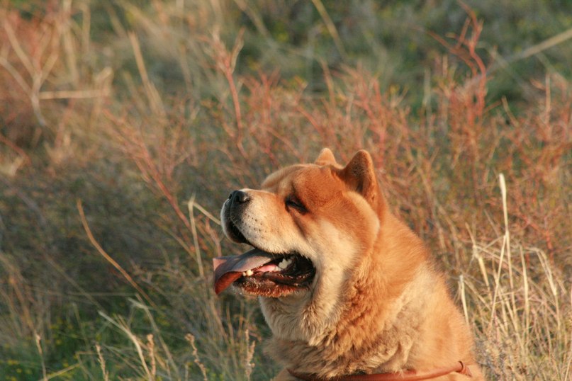 Orlov Ivan фотография #36