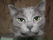 Артур Хайруллин фотография #21 (источник - https://vk.com/id4701778)