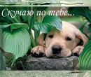 Міша Романюк фотография #39 (источник - https://vk.com/id80403807)