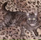 Фотография Сущинского Евгения