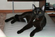 Фотография Кондратова Вячеслава