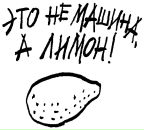 Фотография Лобжанидзе Анна