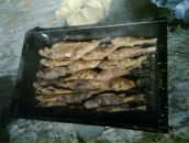 Артур Абросимов фотография #50 (источник - https://vk.com/id22478263)