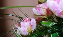 Фотография Барановской Анны