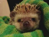 Фотография Максимовой Оленьки