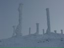 Віта Корицька фотография #49 (источник - https://vk.com/id96224804)