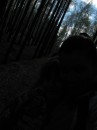 Елена Шестернина фотография #28 (источник - https://vk.com/id3179533)