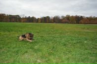 Артём Ант фотография #7 (источник - https://vk.com/id2387886)