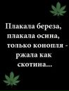 Мілка Матьовка фотография #27 (источник - https://vk.com/id200242559)