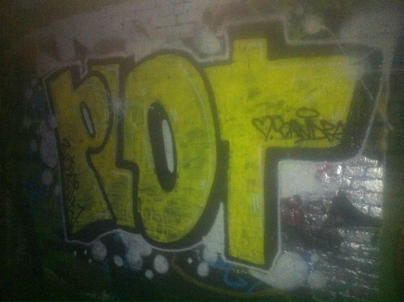 Alexander Plotkin фотография #23