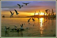 Фотография Бабинец Валерии