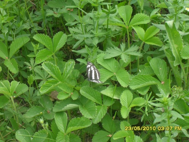 Сергей Сергеев фото №4