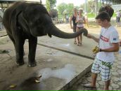 Pavel Jazavac фотография #12 (источник - https://vk.com/id3745436)