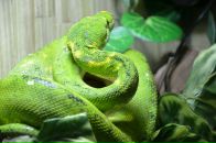 Сергій Момот фотография #17 (источник - https://vk.com/id3990608)