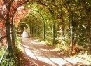 Ann Κалашникова фотография #47 (источник - https://vk.com/id58450599)