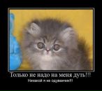 Илья Калинин фотография #36 (источник - https://vk.com/id5203450)