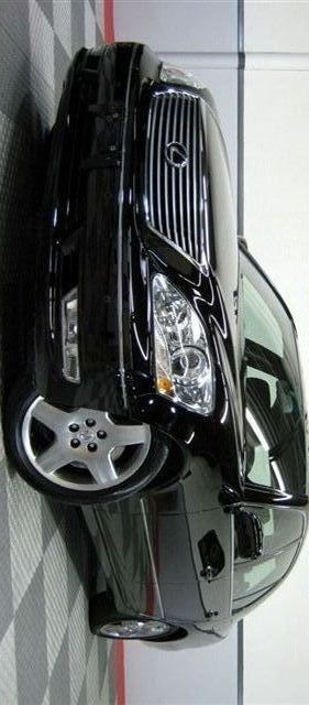 Solo Dolo фотография #13